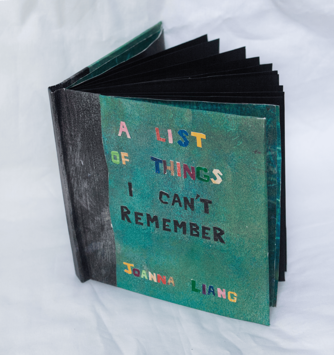 A LIST OF THINGS I CAN'T REMEMBER