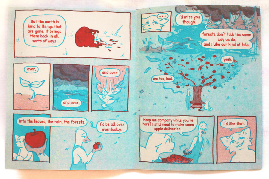pages 5-6