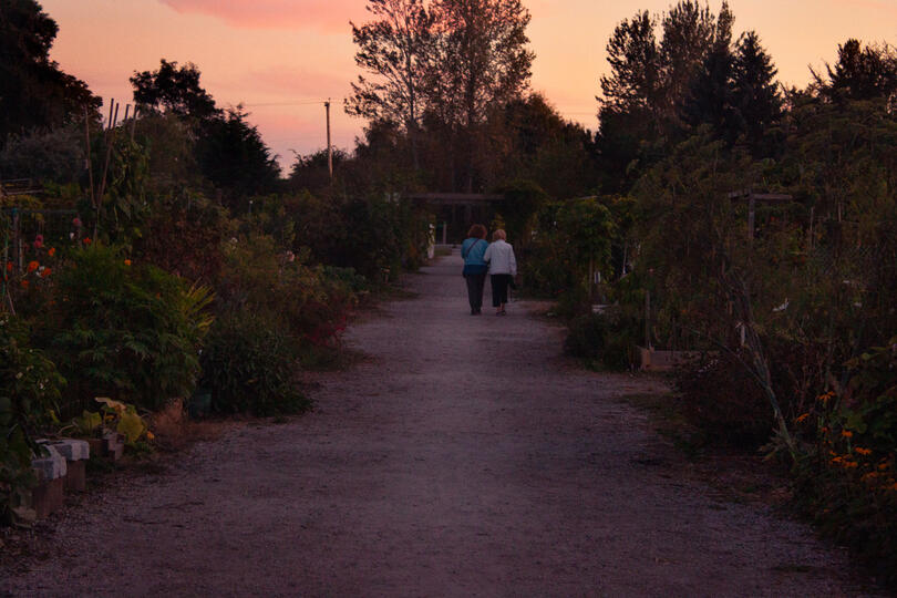 let's go through the garden
