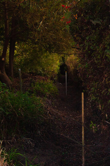 secret passageway