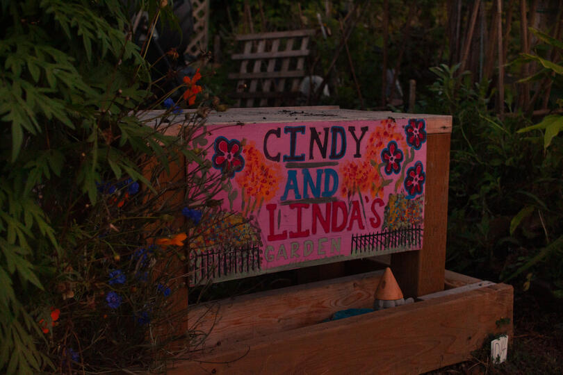 cindy and linda's garden