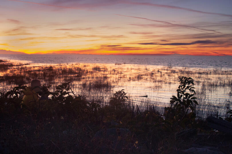 we will never stop looking at sunsets