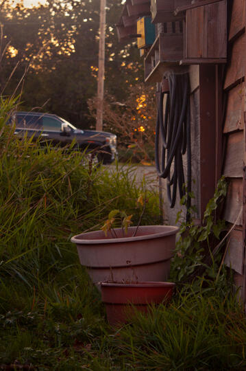 garden shed side