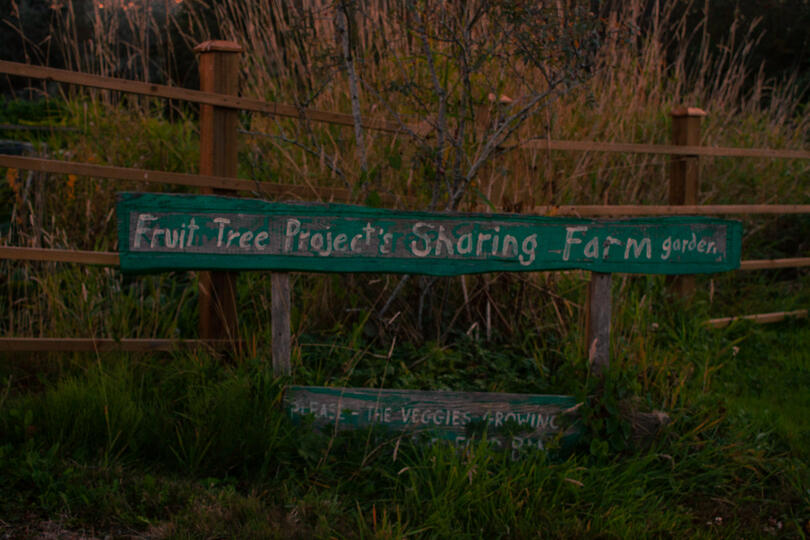 Fruit Tree Project&#39;s Sharing Farm garden