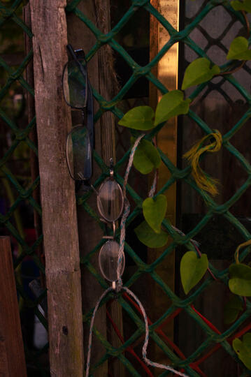 a pair of gardening glasses