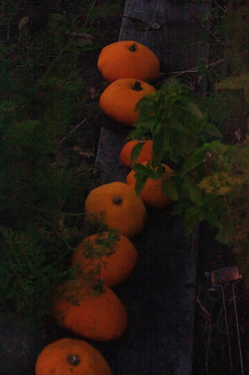 for october