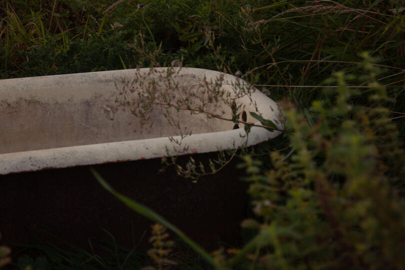 history of the garden bathtub