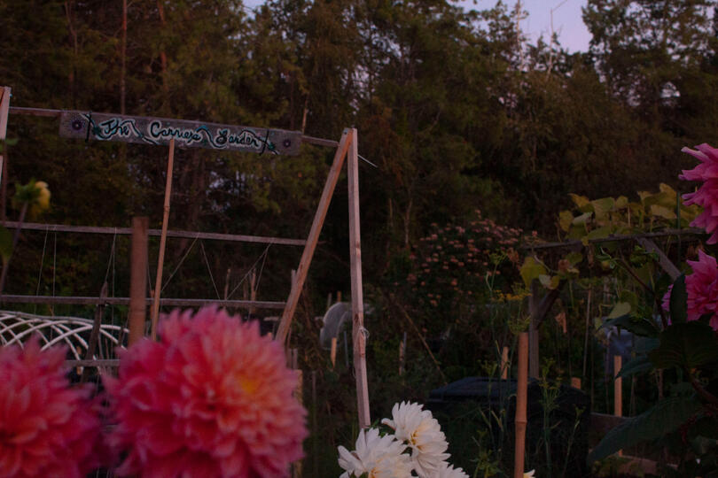 the carriere garden