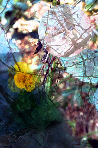 tangled lives (#15)