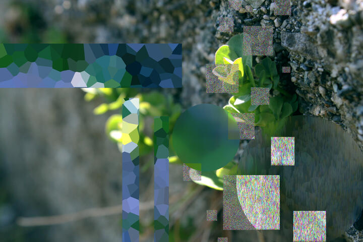 look up, pleasant day (#10)