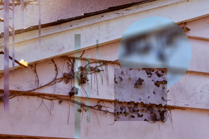 remnants (#5)