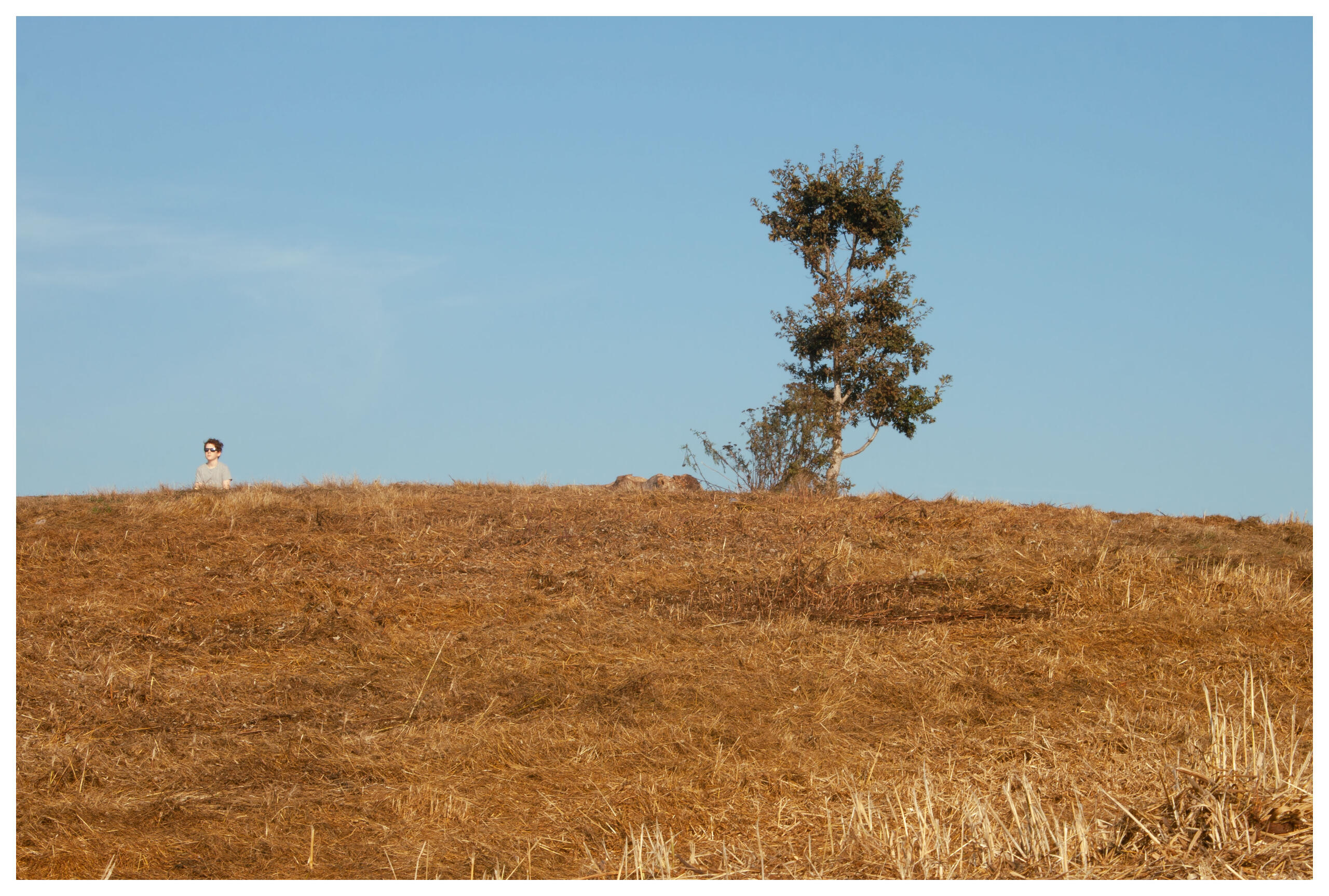 jerry in the face of the world