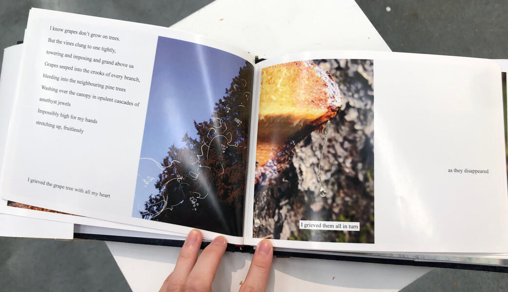 pages 10-11