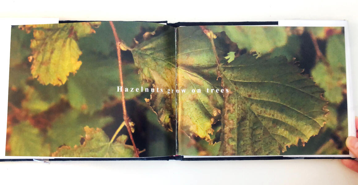 pages 24-25