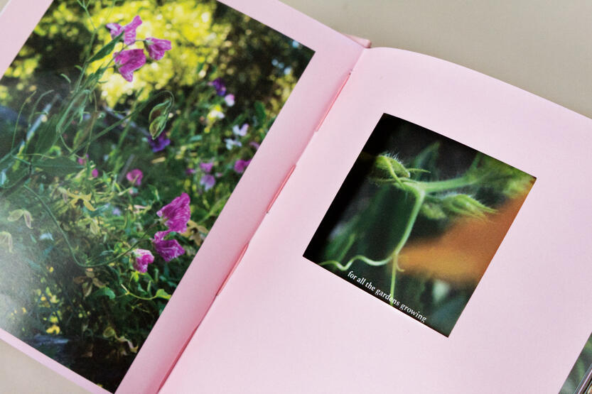 pages 2-3