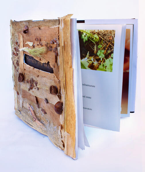 book arts - Hazelnuts grow on trees (2022)